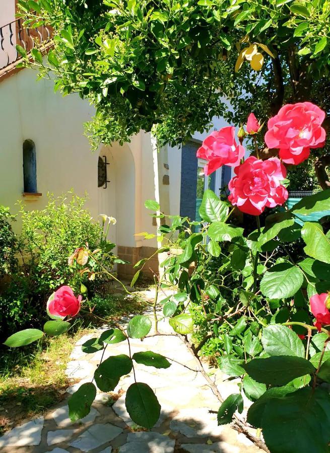 Studio Au Calme Tout Confort Proche Des Plages - Jardin Wifi Parking Frejus Luaran gambar